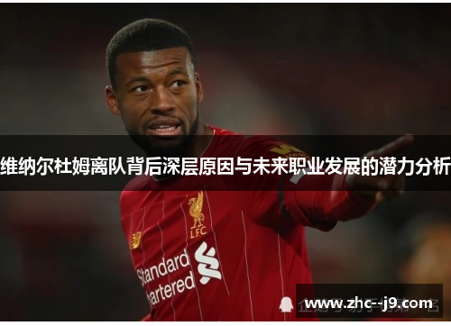 维纳尔杜姆离队背后深层原因与未来职业发展的潜力分析