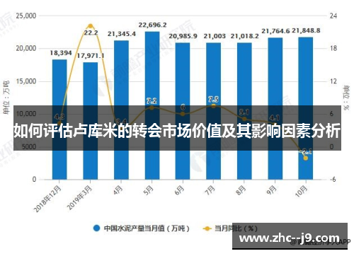如何评估卢库米的转会市场价值及其影响因素分析