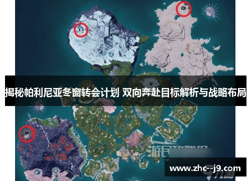 揭秘帕利尼亚冬窗转会计划 双向奔赴目标解析与战略布局